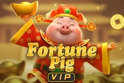 Fortune Pig VIP